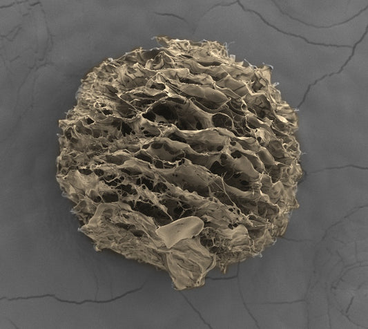 Macroporous microcarrier